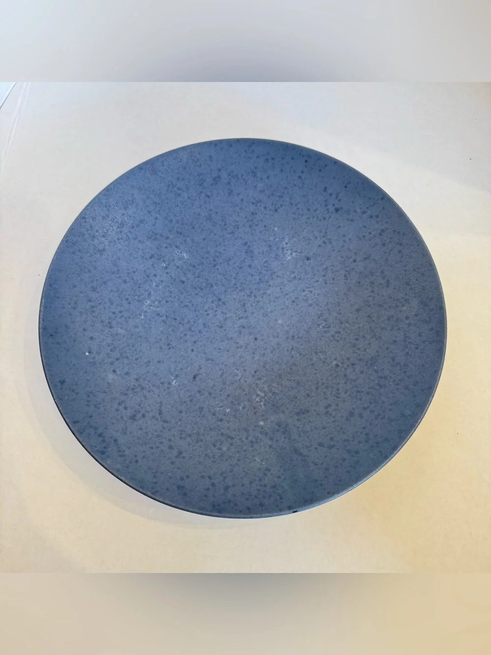 RARE Crate Barrel Craft Indigo Stoneware Coupe Dinner Plate 11